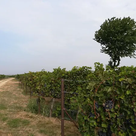 Apartamento Suedpfalz