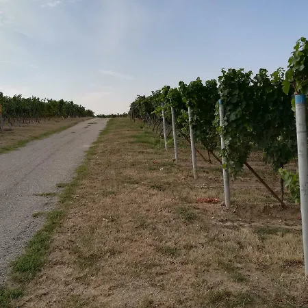 Suedpfalz * Weingarten (Rhineland-Palatinate)